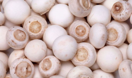 蘑菇视频爆料黑料吃瓜免费,揭秘娱乐圈黑料，免费吃瓜大揭秘！