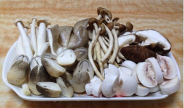 蘑菇视频爆料黑料吃瓜免费,揭秘娱乐圈黑料，免费吃瓜大揭秘！